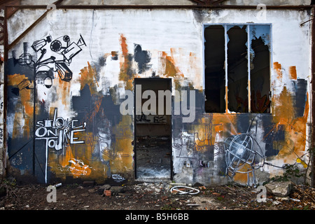 Graffiti in un sito brownfield fabbrica. Grafitti immagine sulla parete che mostra le telecamere TVCC Foto Stock