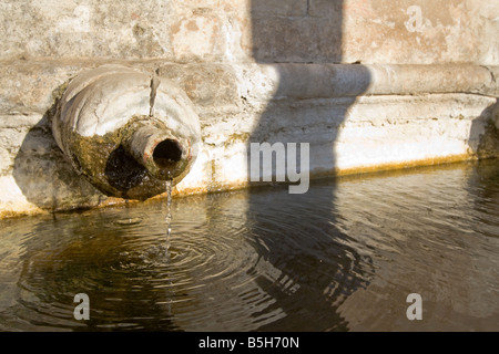 Dettaglio della fontana rinascimentale in Piazza della Repubblica, Alter do Chão, distretto di Portalegre, Portogallo. Foto Stock