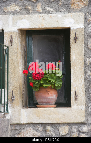 Rosso dei gerani sul davanzale Corfù Foto Stock