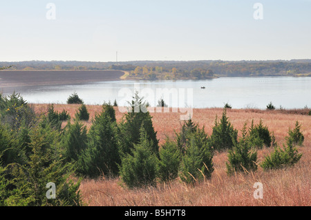 Rosso orientale cedri, Juniperus Virginiana, popolare e la diffusione attraverso il paesaggio vicino al lago di Arcadia in Oklahoma USA. Foto Stock
