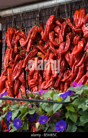 Dettaglio del peperoncino rosso essiccamento al di fuori di una casa nel villaggio di Pampaneira in Sierra Nevada Spagna meridionale Foto Stock