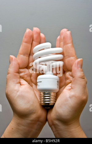 Due mani femminili presentando un ecologici e di risparmio energetico luce fluorescente lampadina Foto Stock