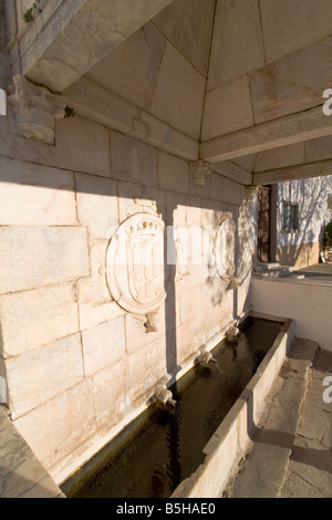 Fontana rinascimentale in Piazza della Repubblica, Alter do Chão, distretto di Portalegre, Portogallo. Dettaglio del portoghese stemma. Foto Stock