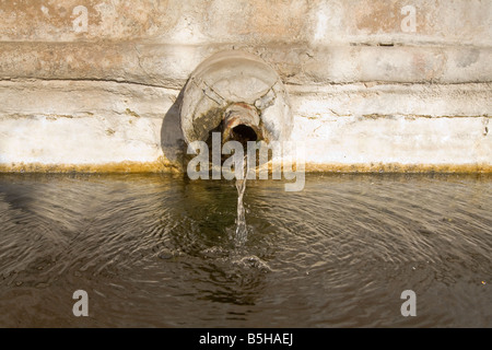 Dettaglio della fontana rinascimentale in Piazza della Repubblica, Alter do Chão, distretto di Portalegre, Portogallo. Foto Stock