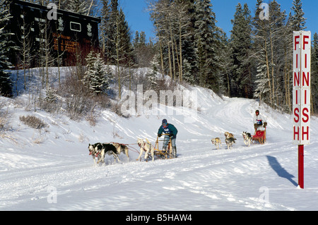 International Sled Dog Racing in Canmore Nordic Center Parco Provinciale nelle Montagne Rocciose Canadesi in Alberta Canada Foto Stock