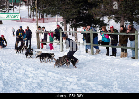 Sled Dog Racing vicino al '100 Mile House' nel Cariboo regione della Columbia britannica in Canada Foto Stock