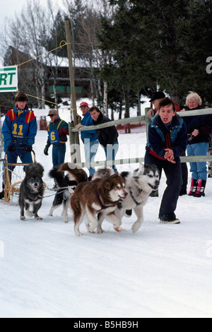 Sled Dog Racing vicino al '100 Mile House' nel Cariboo regione della Columbia britannica in Canada Foto Stock