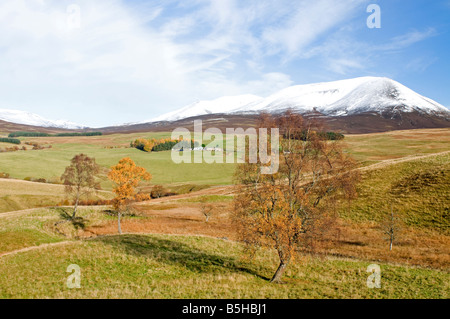 Poco Lude nel parafango Glen Blair Atholl Perthshire Tayside Regione Scozia UK SCO 1103 Foto Stock