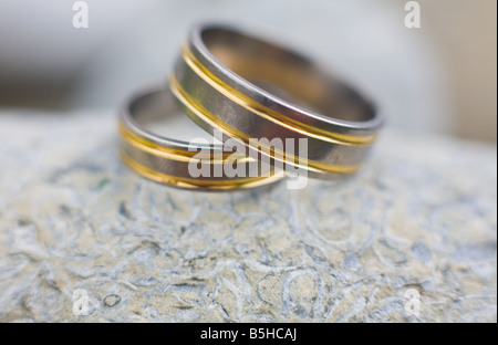 Questo stock photo raffigura due anelli di nozze posa su rocce Foto Stock