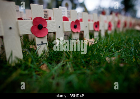 Papaveri e attraversa nel campo del ricordo nella motivazione della Abbazia di Westminster a Londra Foto Stock