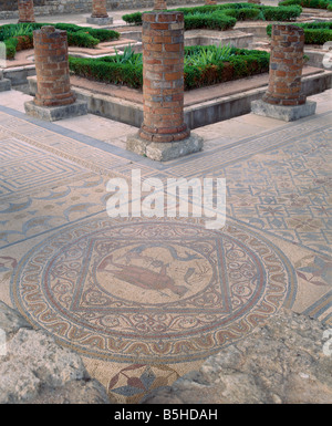 Pavimento a mosaico nei resti della città romana di Conimbriga, vicino a Coimbra, Beira Litoral, Portogallo. Foto Stock