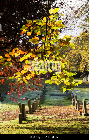 Fila di lapidi a St. Mary's sagrato in Cumbria,Inghilterra. Foto Stock