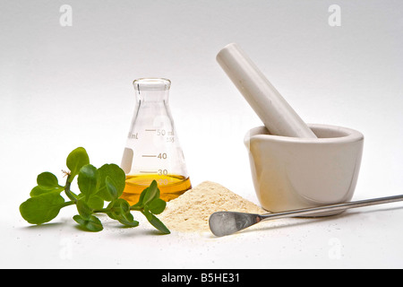 Un liquido giallo in un pallone con una polvere e alcune foglie di fronte con un mortaio di bianco e una spatola in argento su sfondo bianco Foto Stock