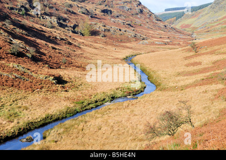 Fiume Irfon in esecuzione attraverso Pass Abergwesyn Cambrian Mountains Powys Galles Foto Stock