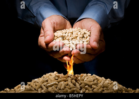 Le mani piene di pellet di legno posto alcuni altri su un mucchio di masterizzazione per riscaldamento naturale Foto Stock