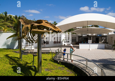 Museo dh PUERTO CALERO LANZAROTE la madre e il bambino guardando di scheletro di balena fuori Whale and Dolphin Museum Foto Stock