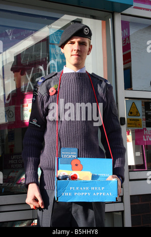 Un membro della formazione dell'aria Corp di effettuare il lavoro volontario per il Royal British Legion appello di papavero. Foto Stock