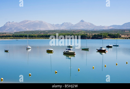 Alcuni yatchs in un lago sotto il cielo blu Foto Stock