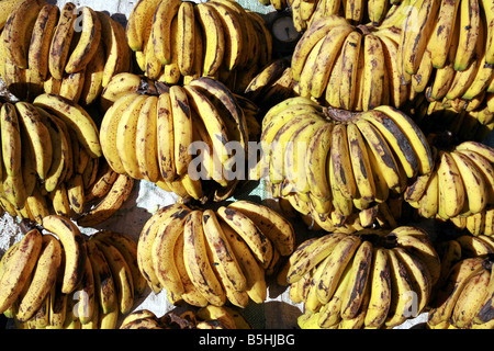 Banane nel mercato Analakely di Antananarivo in Madagascar Foto Stock