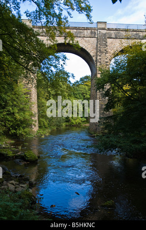 Dh Fiume Avon acquedotto fiume Avon LOTHIAN Union canal ponte sul fiume Avon viadotto scozia acquedotti per via navigabile Foto Stock