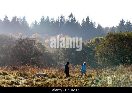 Autunno arriva un freddo gelido e la mattina in Mugdock country park Foto Stock