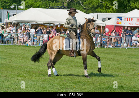 Stalloni andalusi visualizzare al Rally Cowpie Betchworth Surrey UK un famoso paese annuale Summer Village Fete mostrano nel cuore del Surrey Foto Stock