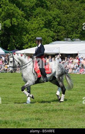 Stallone andaluso con un Pilota femminile in costume tradizionale Cowpie Rally Betchworth Surrey persona in sella ad un cavallo grigio Foto Stock