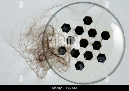 Capelli in scarico di un vano doccia Foto Stock