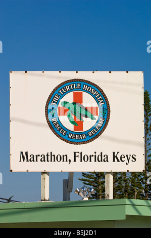 Stati Uniti d'America Florida Florida Keys turtle hospital di Maratona Foto Stock