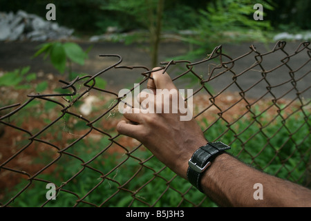 La mano di un giovane terrorista cercando di rompere attraverso un filo di bar Recintato intorno al ministro il giardino in un luogo remoto Foto Stock