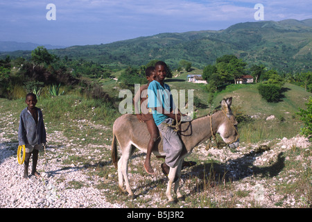 I ragazzi con un mulo su La Gonave isola in Haiti Foto Stock