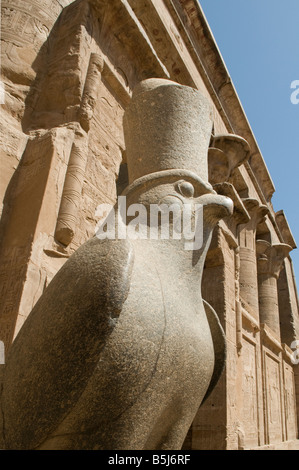 Un falco statua in granito di Horus presso il Hypostyle Hall nel tempio di Edfu dedicato al dio falco Horus, costruita durante il periodo tolemaico 237 -57 BCE, Egitto Foto Stock