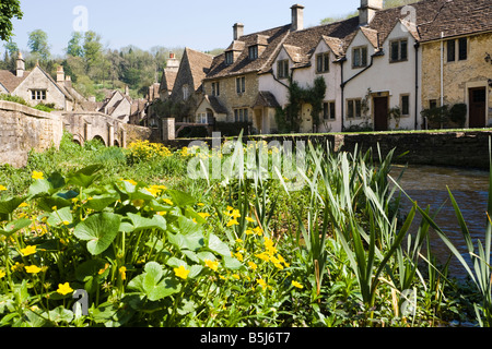 Renoncules e cottage accanto al da Brook nel villaggio Costwold di Castle Combe, Wiltshire Foto Stock