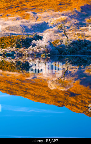 Riflessioni all'alba in Loch Tulla Rannoch Moor Highlands della Scozia Foto Stock