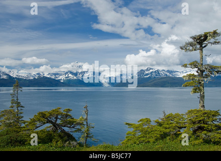 Vista del ghiacciaio in cascata e College Fjord, Prince William Sound, Alaska Foto Stock