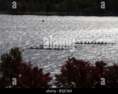 I canottieri sul fiume Charles durante la testa del Charles regata del 10 18 2008 Foto Stock