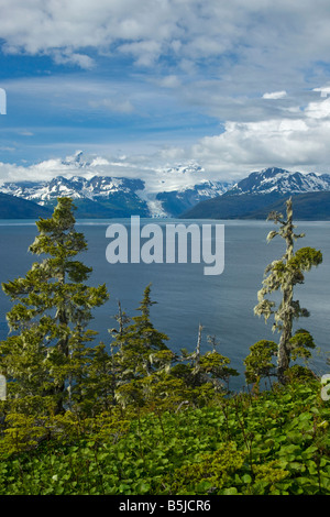 Vista del ghiacciaio in cascata e College Fjord, Prince William Sound, Alaska Foto Stock