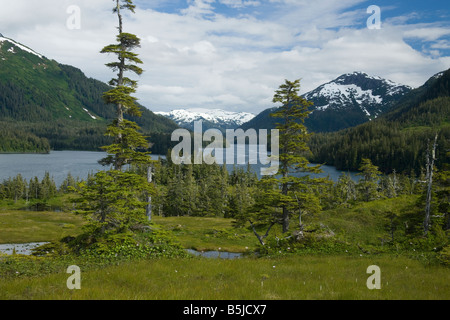 Alaskan Fjord Vista Foto Stock