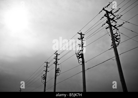 Una fila di pali dell'elettricità sotto un cielo nuvoloso. Foto Stock