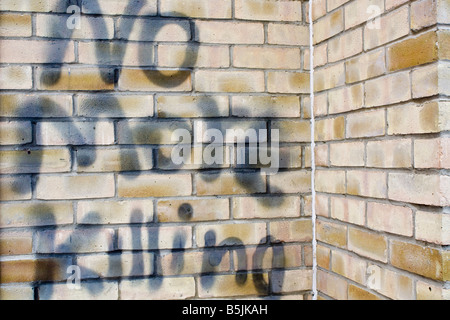 Graffiti spruzzato dai diritti degli animali tifosi su una parete in Cambridge, Regno Unito Foto Stock