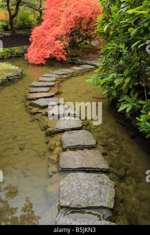 Giardino giapponese sezione ai Giardini Butchart in autunno Victoria British Columbia Canada Foto Stock