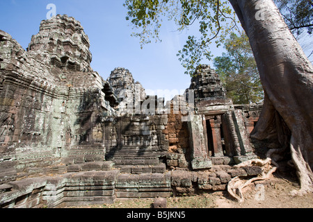 Prasat Ta Som templi di Angkor Siem Reap Cambogia Foto Stock