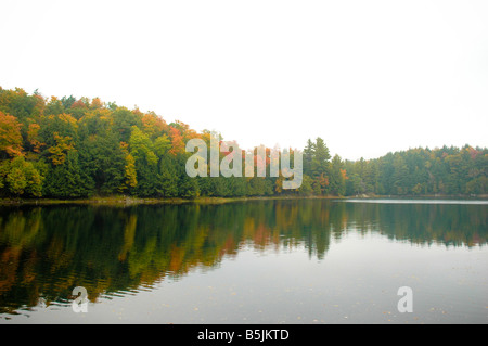 Nebbia di mattina in un autunno paesaggio panoramico. Foto Stock