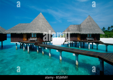 Maldive - Dunikolu Island - Coco Palm Resort Foto Stock