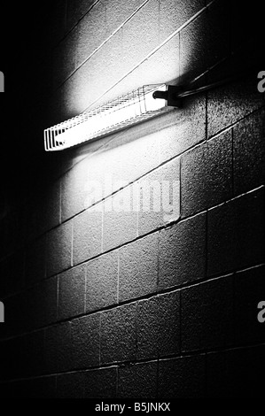 Un fluorescente lampadina racchiusa da una scatola di metallo in un buio e sporco cinderblock parete. Foto Stock