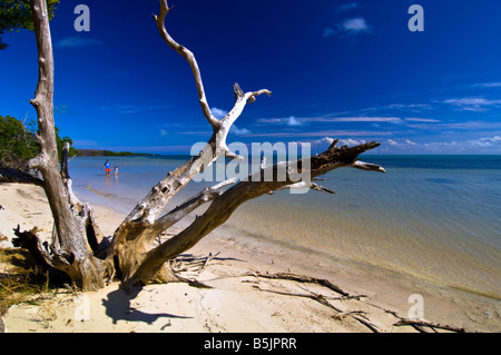 Stati Uniti d'America Florida Florida Keys lungo stato chiave Park Beach Foto Stock