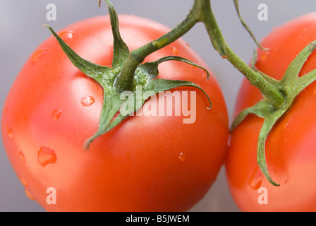 Vista ravvicinata dei due appena lavato vine stagionati di pomodori di travatura reticolare Foto Stock