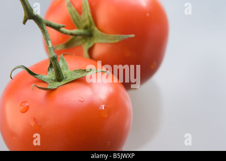 Vista ravvicinata della vigna stagionati di pomodori di travatura reticolare con una profondità di campo ridotta Foto Stock