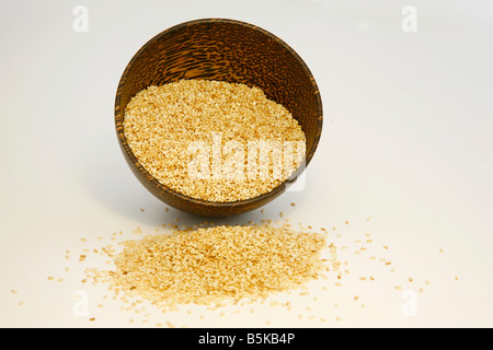 Semi di sesamo nella tazza di cocco isolati su sfondo bianco Foto Stock