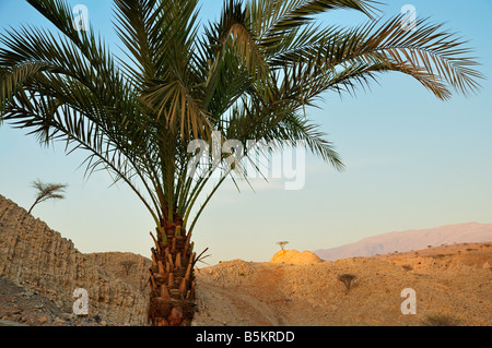 Khatt Hot Springs Hotel Resort Foto Stock